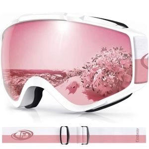 Snowboard/ski goggles
